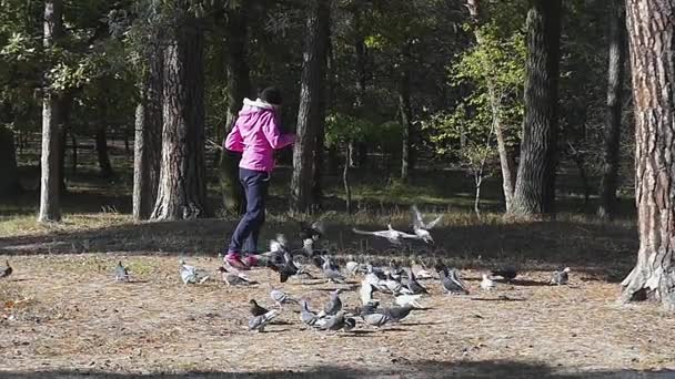 Молодая девушка в спортивной форме кормит стадо голубей в осеннем лесу — стоковое видео