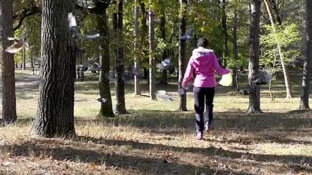Una joven se aleja de una bandada de palomas mientras corre en un bosque de otoño en cámara lenta . — Vídeo de stock