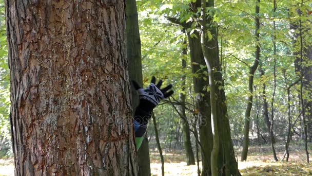 A kezét a kesztyűt és egy vicces ember arc jelenik meg az erdőben egy fa mögül. — Stock videók