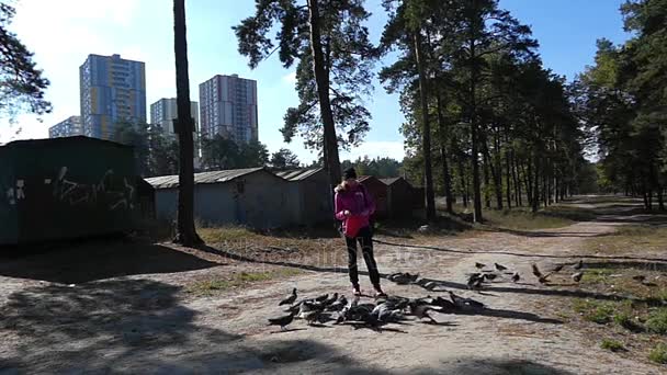 Una bandada de palomas alrededor de una joven agradable alimentándolos en un bosque en cámara lenta . — Vídeos de Stock