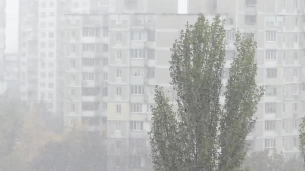 Copos de nieve pesados cayendo oblicuamente con un enorme edificio de varios pisos en el fondo . — Vídeo de stock