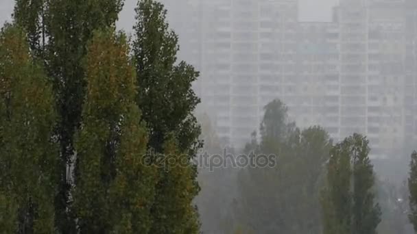 Heavy Snow Falling Obliquely With a Huge Multi-Storey Building in the Background — Stock Video