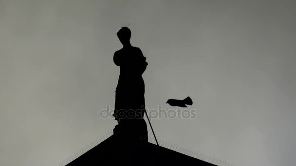 Artemida que olha a estátua em um telhado na noite com pássaros voadores ao redor — Vídeo de Stock