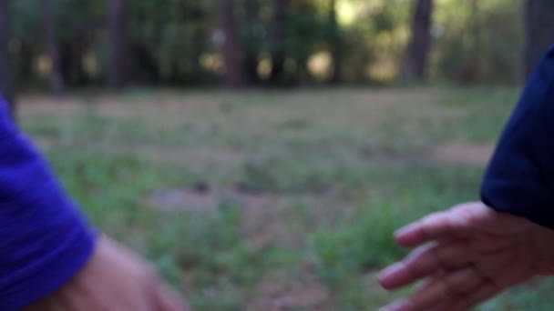 A Young Man`s Hand Keeping a Girl`s Hand in a Lovely Way in Green Forest — Stock Video