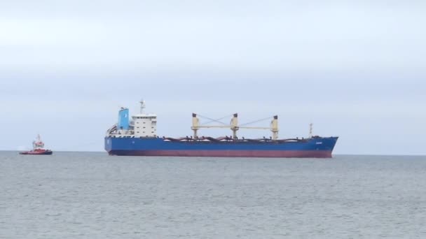 Огромный нефтяной танкер и малый буксир, плавающие в профиле в спокойном море осенью . — стоковое видео
