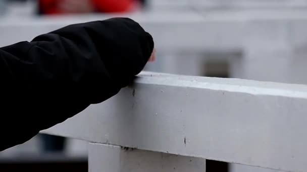 A Girl's Hand zet brood op een witte zee Pier hek en meeuwen haasten om op een grappige manier. — Stockvideo