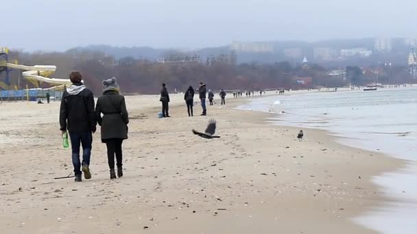 Люди ходят по песчаному морю осенью с летающими воронами в медленном движении — стоковое видео