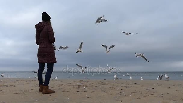 Una joven lanzando pan a las gaviotas voladoras con el mar azul gris en el fondo en el clima ventoso en cámara lenta . — Vídeos de Stock