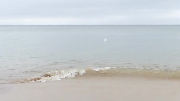 Een stijgende Golf in een grijs zee en een zeemeeuw opstijgen Ina plotselinge manier in Slow Motion — Stockvideo