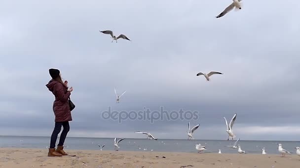 Una joven lanza pan a aves voladoras con el mar gris y azul en el fondo en cámara lenta . — Vídeos de Stock