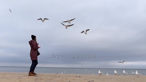 Genç kız ağır çekimde bir Sandy plajda martıları uçan ekmek atıyor — Stok video