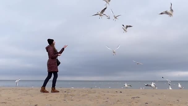 Uma jovem com um chapéu preto e um Anorak marrom joga pão para gaivotas voadoras em câmera lenta — Vídeo de Stock