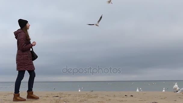 Молода дівчина на анорак є кидали хліба, щоб політ чайки на пляжі піщані в Slo-Mo — стокове відео