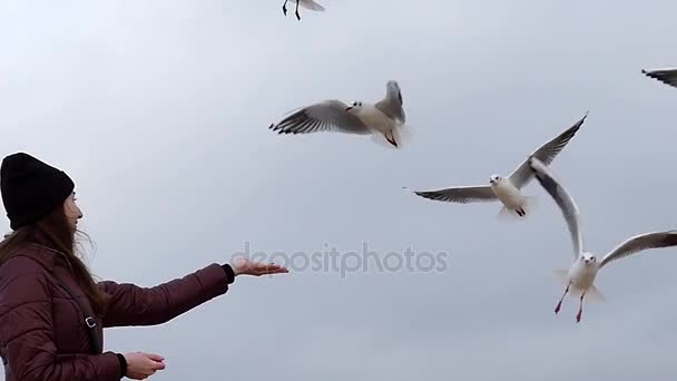 Uma jovem sorri e alimenta gaivotas voadoras no outono em câmera lenta — Vídeo de Stock