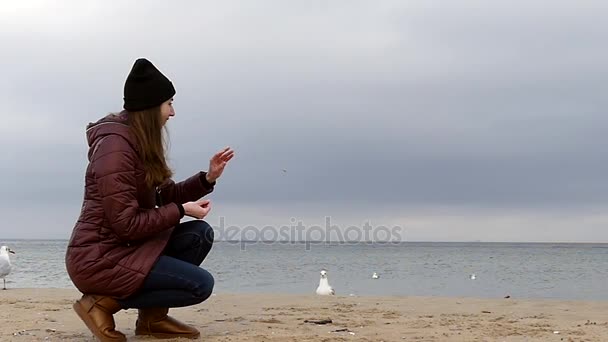 一名年轻女子的棕色外套，黑色的帽子和穿着牛仔裤，坐在慢动作喂海鸥. — 图库视频影像