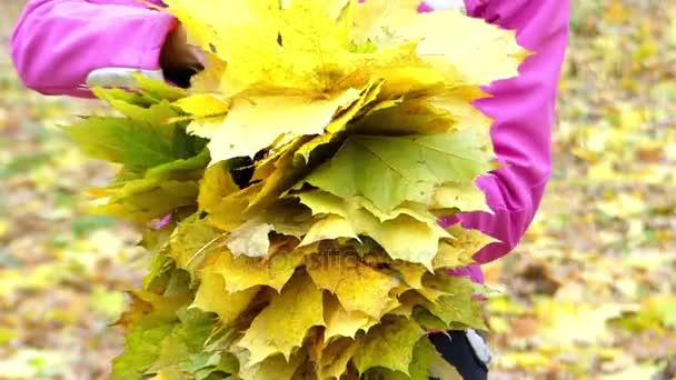 Manos de niña haciendo corona de hojas de arce amarillo . — Vídeos de Stock