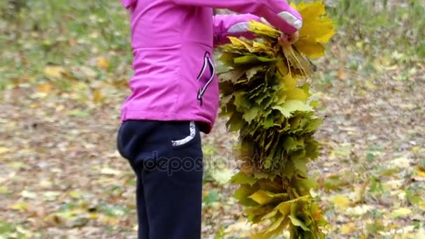 Chica hace corona de hojas de arce amarillo . — Vídeos de Stock