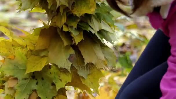 女の子の手が作る花輪フォーム黄色のカエデの葉. — ストック動画