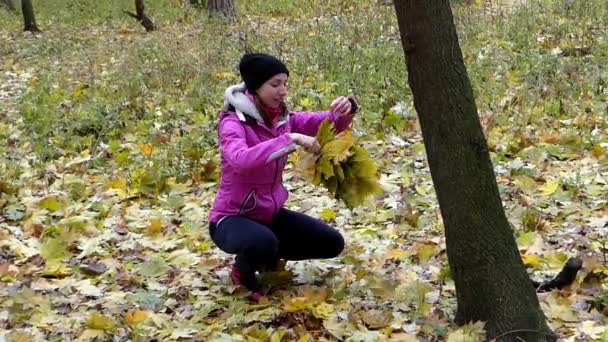 Дівчина знаходить листя і робить вінок жовтого листя . — стокове відео