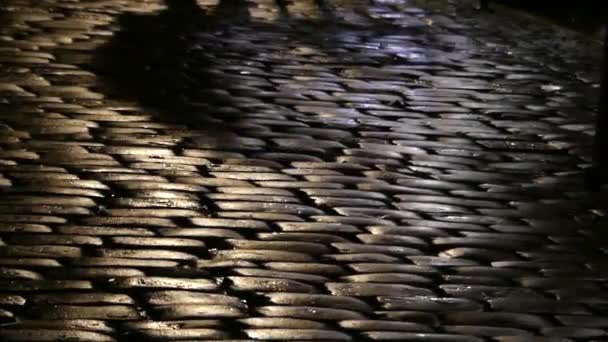 Piedi di una persona che cammina lungo una strada di ciottoli di notte in slow motion . — Video Stock