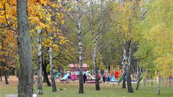 Les enfants joués sur l'aire de jeux dans la forêt d'automne . — Video