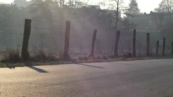 Ein Holzzaun entlang einer Straße am Stadtrand in Osteuropa im Morgennebel — Stockvideo