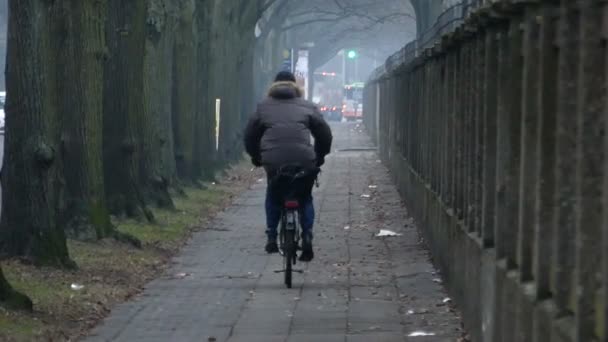 Una calle impresionante de la ciudad con un pavimento de la placa de piedra, una fila de árboles viejos, una cerca gris vieja con postes de ladrillo, y un ciclista que monta, en otoño — Vídeo de stock