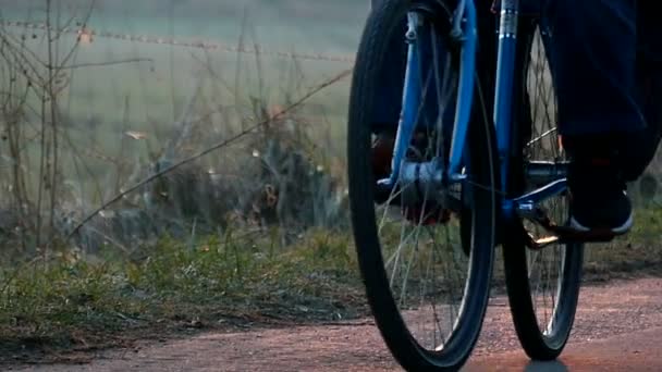 De close-up weergave op de voeten van een jonge Cycler, bewegen langs een landweg in de ochtend in de herfst — Stockvideo