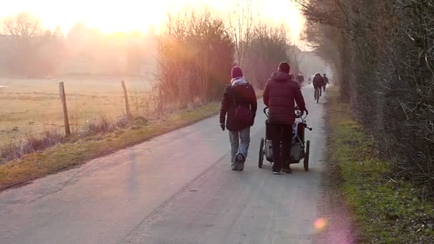 Çocuk arabası ile genç bir çift Slo-mo Eatern Avrupa'da akşam güneş ışınlarının her iki tarafta ağaçlar olan köyün dar yol boyunca yürüyüş — Stok video