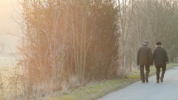 Un anciano y una anciana caminan a lo largo de una aldea estrecha carretera con árboles en ambos lados en los rayos de un sol de la mañana en Eatern Europa en Slo-Mo — Vídeos de Stock