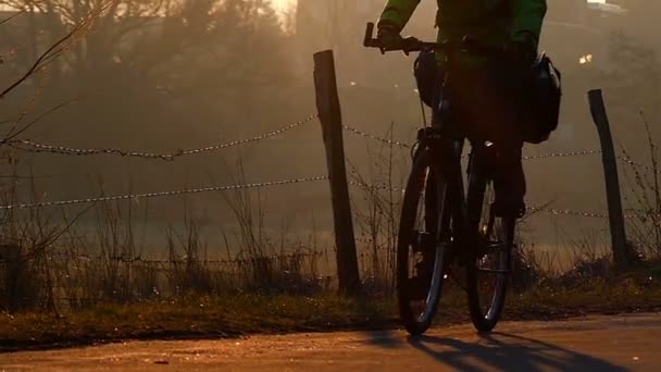 Mladá cyklovač jezdí do kameraman po nějaké cestě s starý plot Log na levé straně v paprscích slunce na podzim. Akce v pomalém pohybu. — Stock video