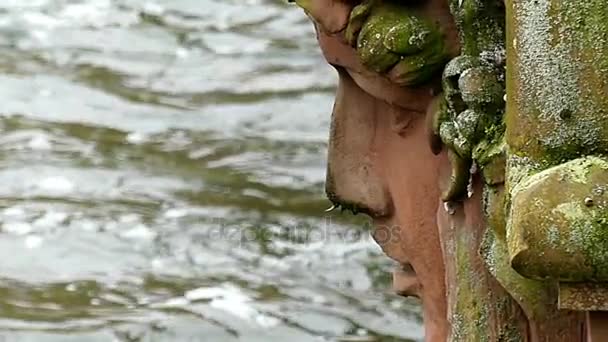 スローモーションで動く川水の近くの古代彫像の顔 — ストック動画