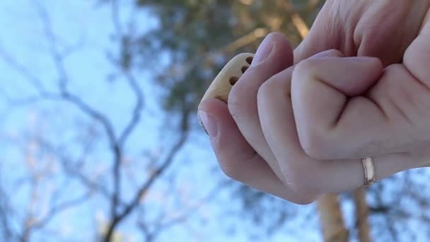 Drewniane kostki kostki z sześciu punktów jest w rękach kobiety w lesie w ciągu dnia w zimie — Wideo stockowe