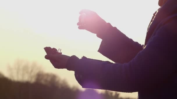 Mãos de uma mulher que cobre as unhas com maquiagem polonês no pôr do sol no início da primavera — Vídeo de Stock