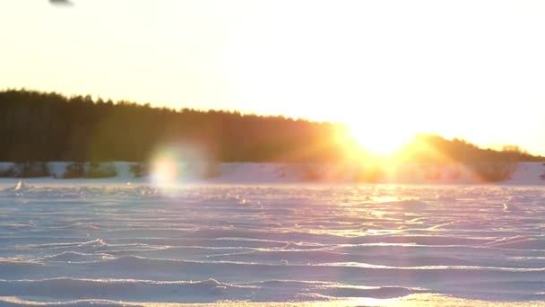 A Boy Plays With Snow Beating it With His Fist in Slow Motion . — Stok Video