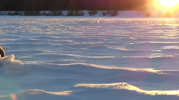 Egy kisfiú játszik a hó vert meg az ő ököllel, lassítva. — Stock videók