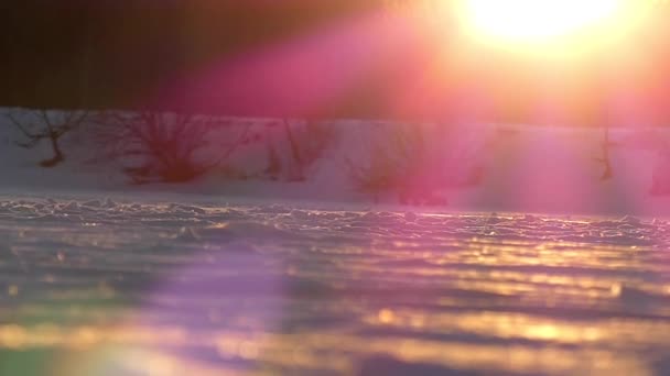 Fantastisk solnedgang om vinteren. Snefnug falder ned i langsom bevægelse i stråler af solen . – Stock-video