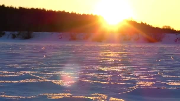 Bellissimi fiocchi di neve nei raggi del sole al tramonto . — Video Stock