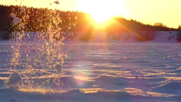 Schneeflocken in Sonnenstrahlen in Zeitlupe bei Sonnenuntergang. — Stockvideo