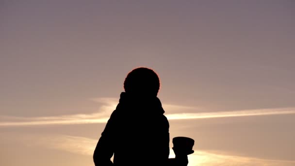 Fille Célébrez Sa Victoire Levant Golden Cup Au Coucher Du Soleil Sur La Tête En Vidéo 4k . — Video