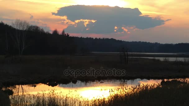 Krásné lesní jezero při západu slunce v Evropě — Stock video