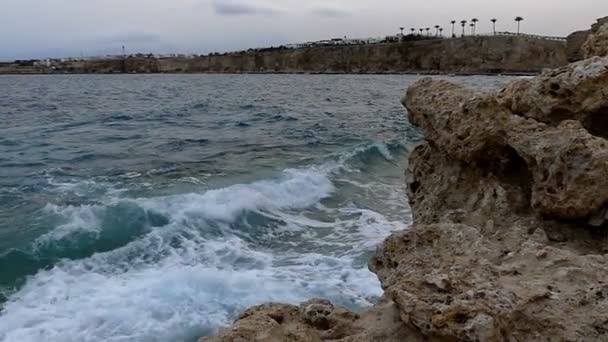 Каменное побережье в Египте с впечатляющими приливными волнами, покрытыми всплесками пены осенью — стоковое видео