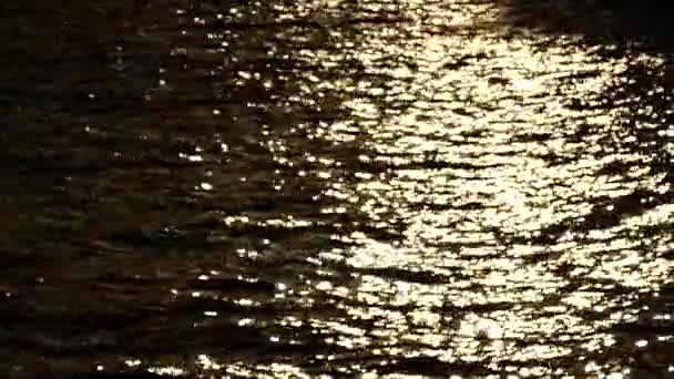 Háttér - absztrakt hullámok a víz, a lassú mozgás — Stock videók