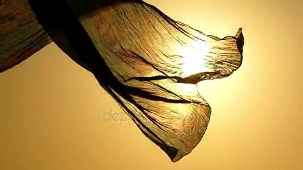 Texture di sciarpa ventosa al tramonto in slow motion . — Video Stock