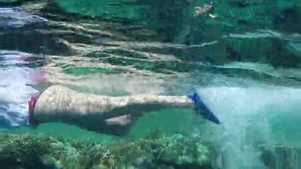 Jonge vrouw als Flippers is onderwater zwemmen in de rode zee in Slo-Mo — Stockvideo