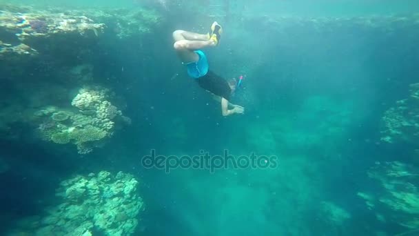 Ο άνθρωπος Κολύμβηση υποβρύχια κοντά σε κοραλλιογενείς υφάλους σε αργή κίνηση. — Αρχείο Βίντεο