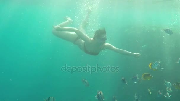 Joven mujer disfruta de su vida en el Mar Rojo, mientras nada sobre un arrecife con peces — Vídeos de Stock