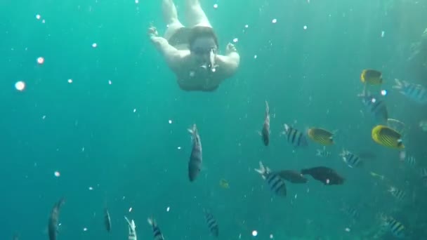 Lächelndes Mädchen im Bikini und mit Brille schwimmt an einem sonnigen Tag unter Wasser zu einem Kameramann — Stockvideo