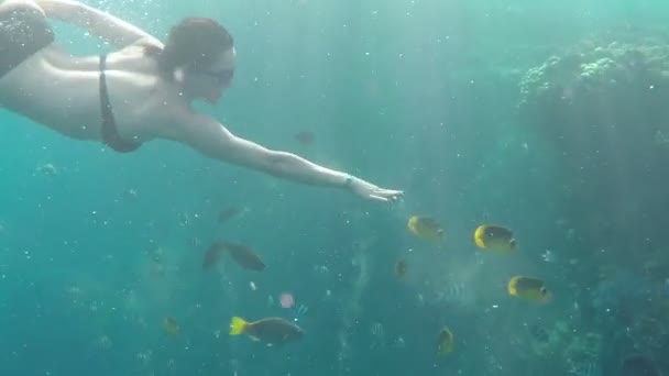 Молодая дайвер в Бикини плавает под водой и развлекает — стоковое видео