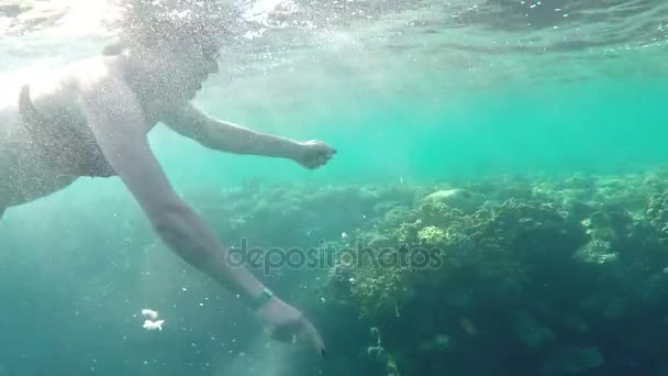 Mujer joven sonriente en bikini alimenta a los peces bajo el agua, mientras nadan sobre un arrecife — Vídeos de Stock